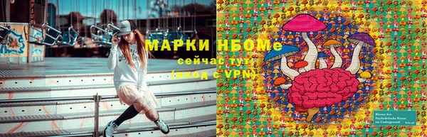 гидропоника Белокуриха