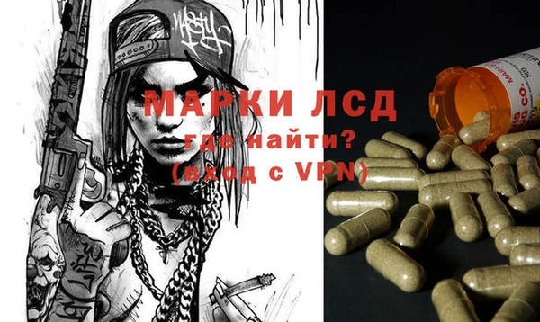 гидропоника Белокуриха