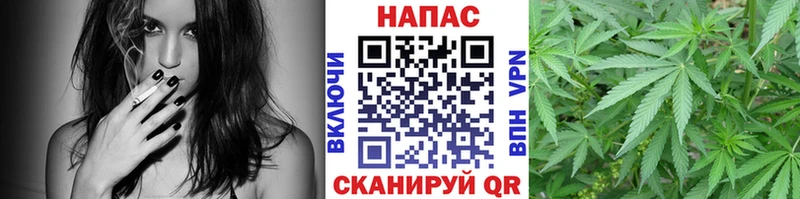 мориарти состав  Емва  Марихуана конопля 